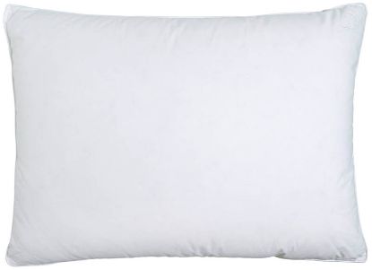 Down pillow (Clean)