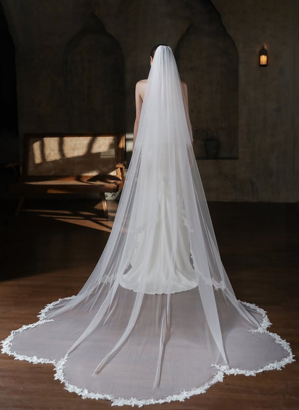 Wedding dress veil (Clean)