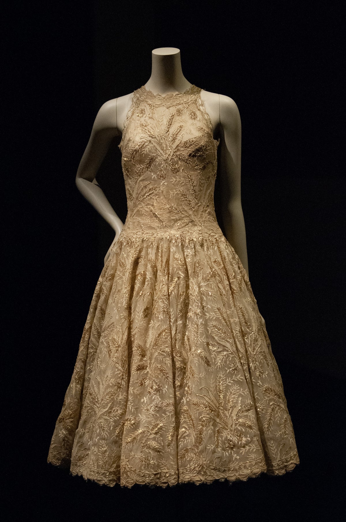 The Art of Luxury: Discover ASTAMR's Unparalleled Quality and Materials in Norwegian Dresses