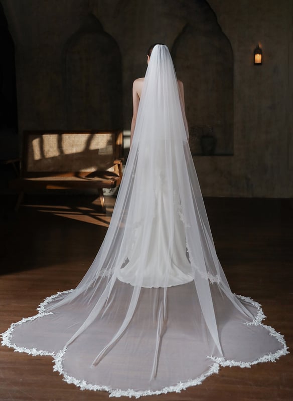 Wedding dress veil (Clean)